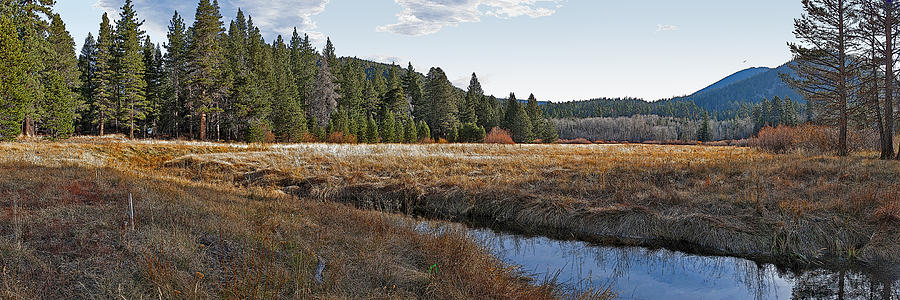 Big Meadow Creek Panorama Painting by Larry Darnell