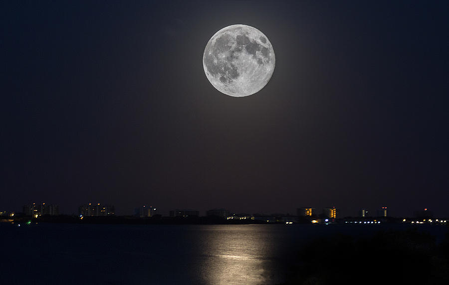 Big Moon Over The Bay Photograph by Richard Goldman