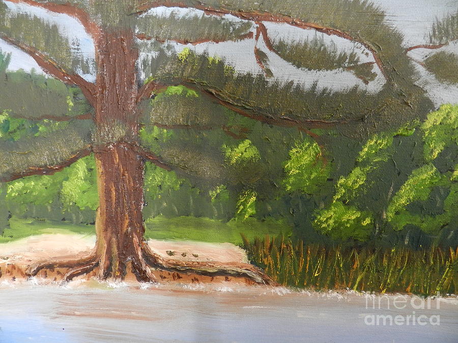 Tree Painting - Big Old Pine Tree by Pamela Meredith