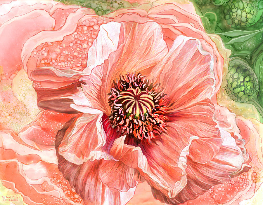 Big Peach Poppy 2 Mixed Media by Carol Cavalaris