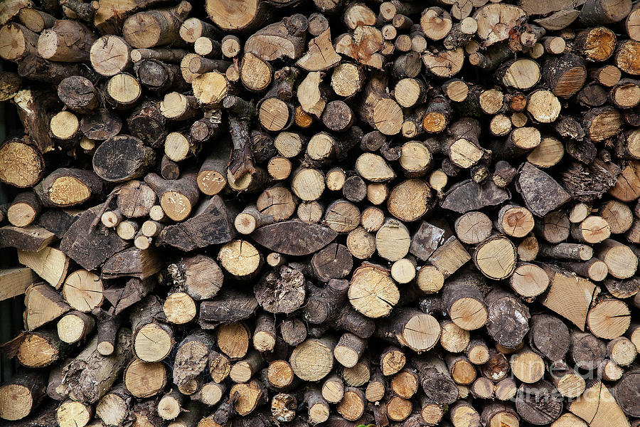 Big pile of sawn logs Photograph by Simon Bratt