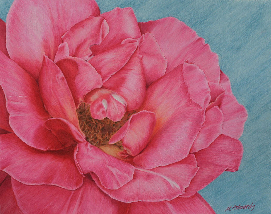 Big Pink Drawing by Marna Edwards Flavell
