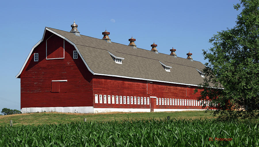 Big Red Barn in Spring Photograph by Ed Peterson