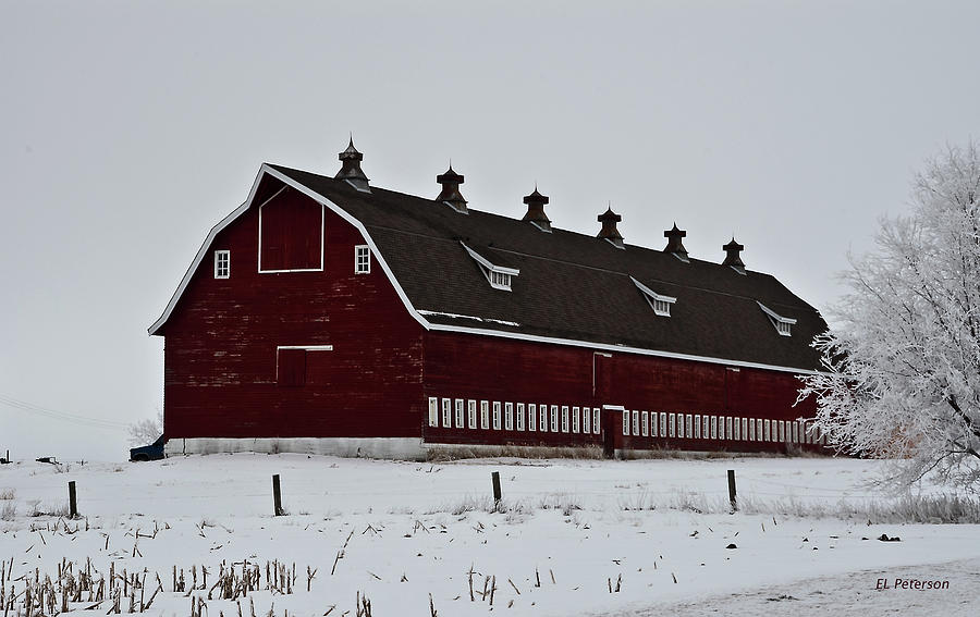 Big Red Barn in the Winter Photograph by Ed Peterson
