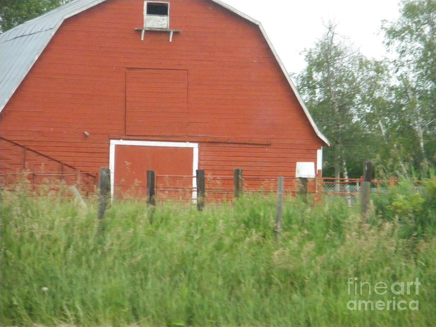 Big Red Barn Photograph by Sonya Chalmers