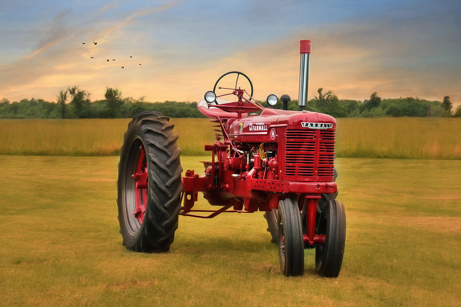 Big Red - Farmall Tractor Photograph by Lori Deiter