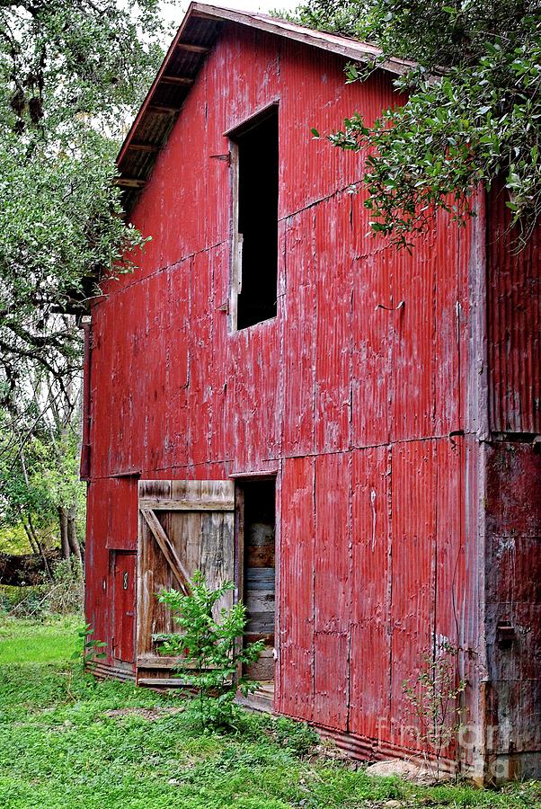 Big Red Photograph By Gary Richards
