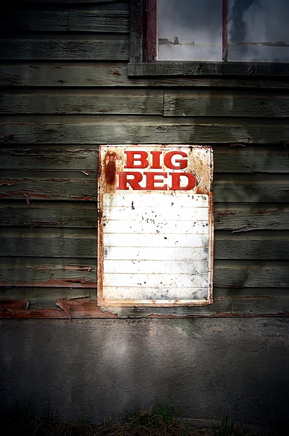 Big Red Photograph by Newel Hunter