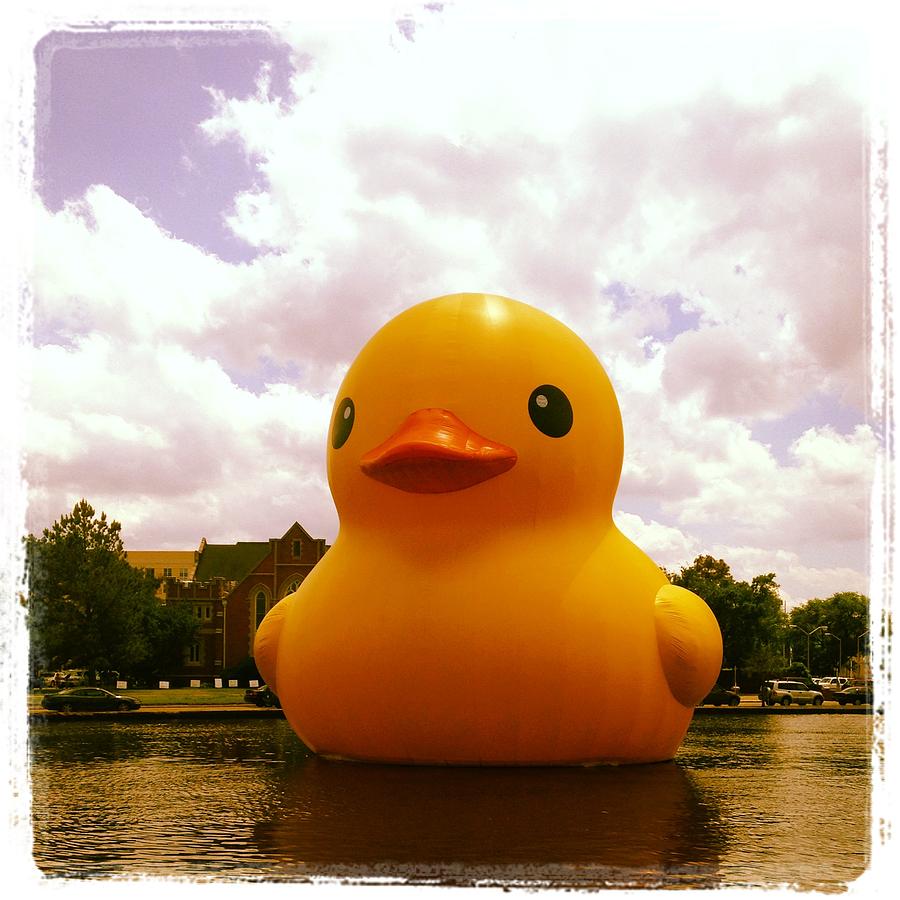 Big Rubber Ducky Photograph by Will Felix