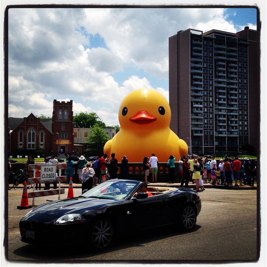 Big Rubber Ducky with car Photograph by Will Felix