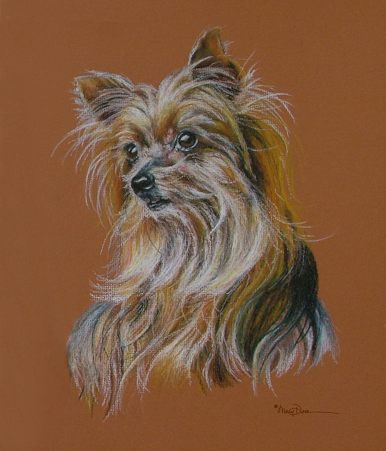 Big Sister Silky Terrier Pastel by Mary Dove