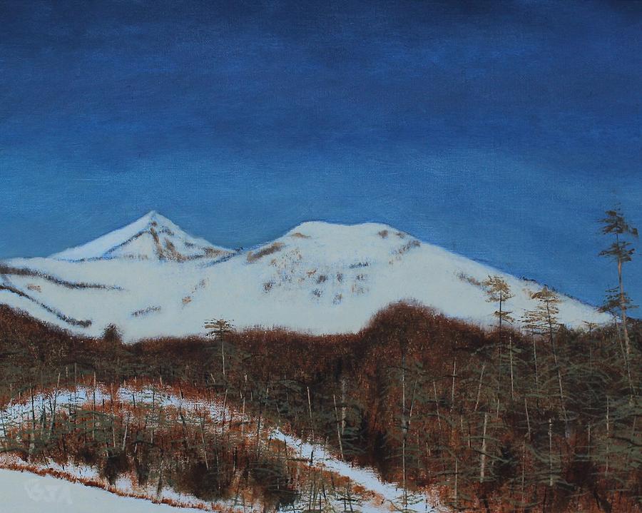Winter Painting - Big Sky by Barbara Joyce