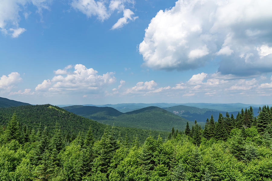 Big Sky Country - a Heavenly Vista of Forested Mountaintops and Cottony Clouds Photograph by Georgia Mizuleva