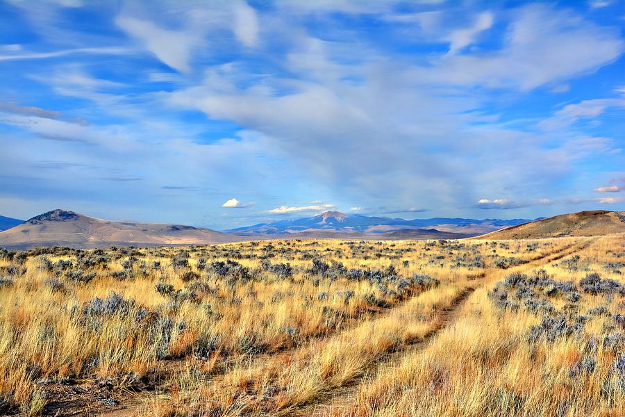 Big Sky Country Photograph by Miss Judith - Fine Art America