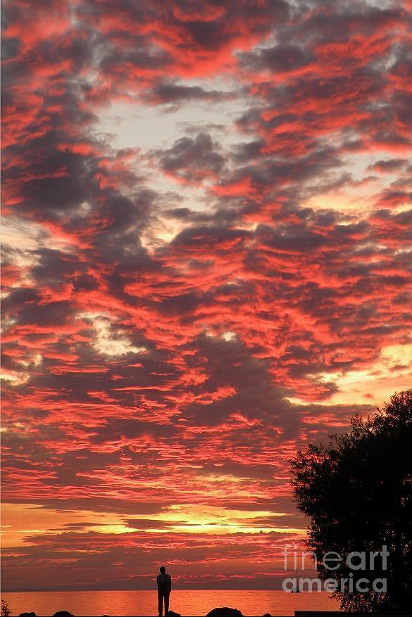 Big Sky by Joanne Young Big Sky by Joanne Young