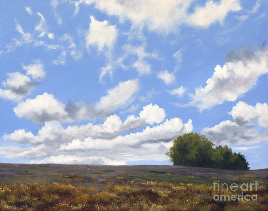 Big Sky Painting by Julie Peterson