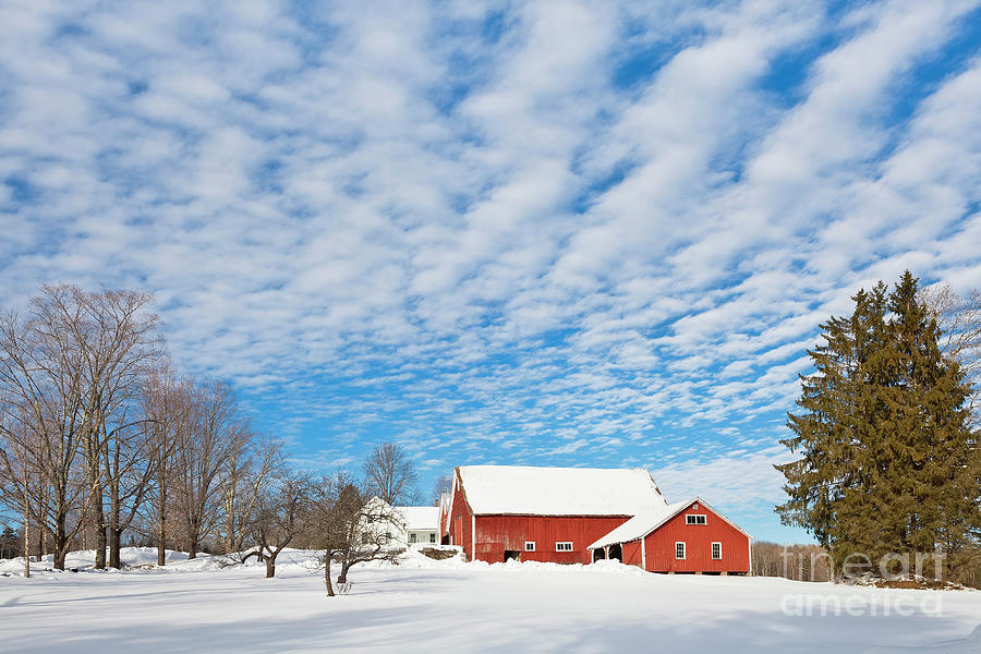 Big Sky Winter Photograph by Alan L Graham