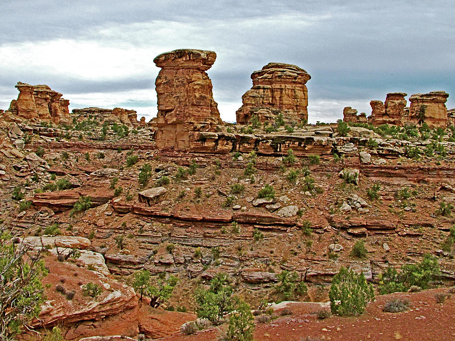 Big Spring Canyon Overlook  in  Needles District in Canyonlands National Park, Utah Photograph by Ruth Hager