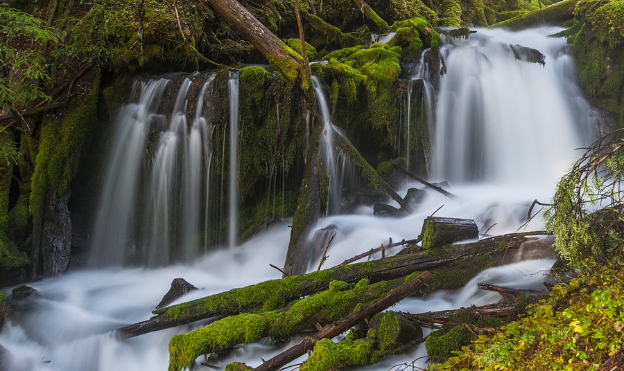 Big Spring Creek Falls - Lower Photograph by Loree Johnson