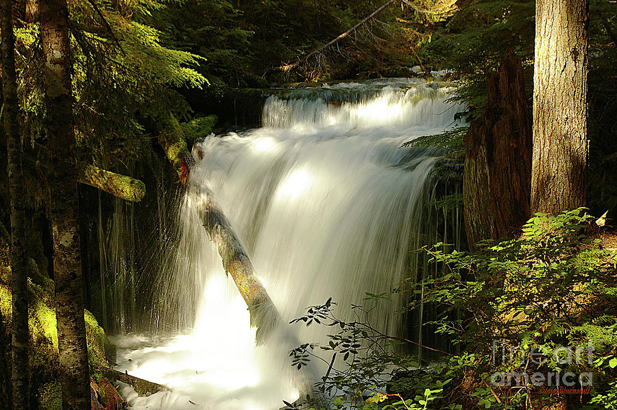 Big Spring Creek Falls Photograph by Steve Warnstaff