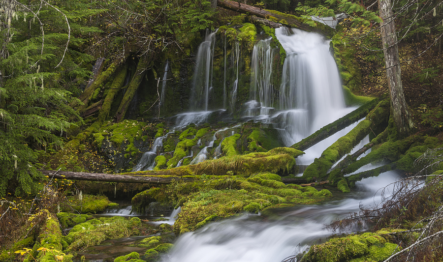 Big Spring Creek Falls - Upper Photograph by Loree Johnson