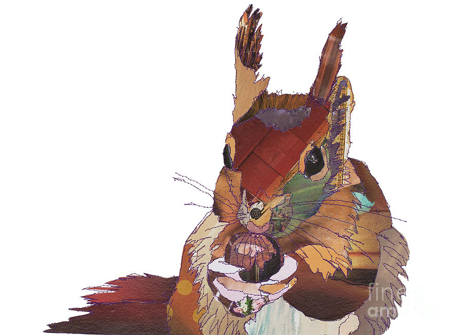 Red Squirrel Digital Art - Big Squirrel by MGL Meiklejohn Graphics Licensing