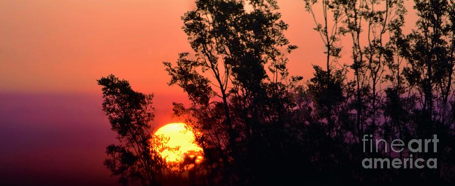 Big Sun Rising Photograph by Angela J Wright