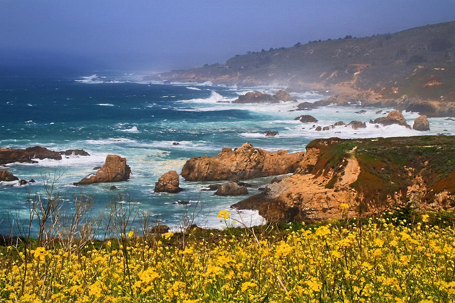 Big Sur Spring Beauty Photograph by Donna Kennedy