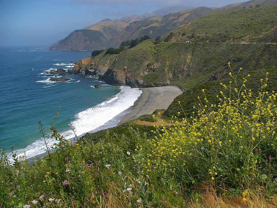 Big Sur Spring Photograph by Arthurpete Ellison - Pixels