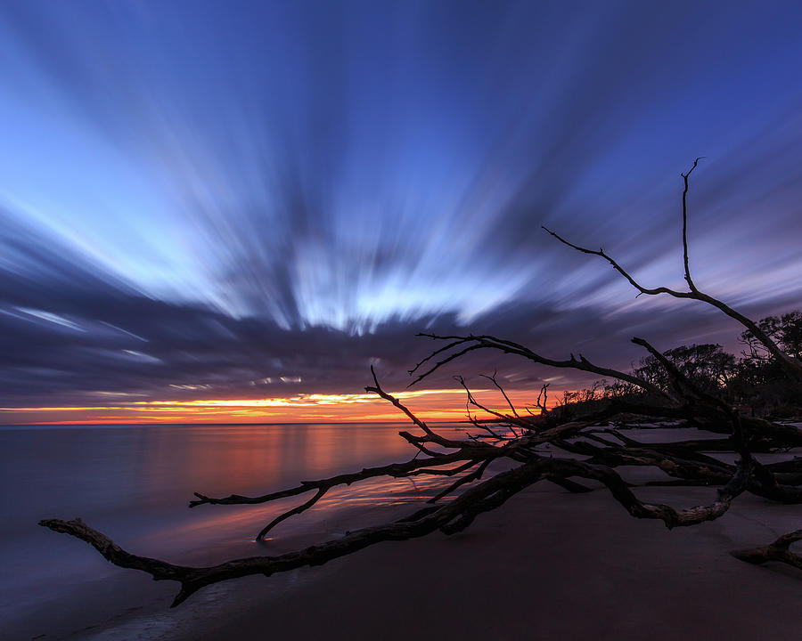 Big Talbot Island at Twilight 4x5 Photograph by Stefan Mazzola