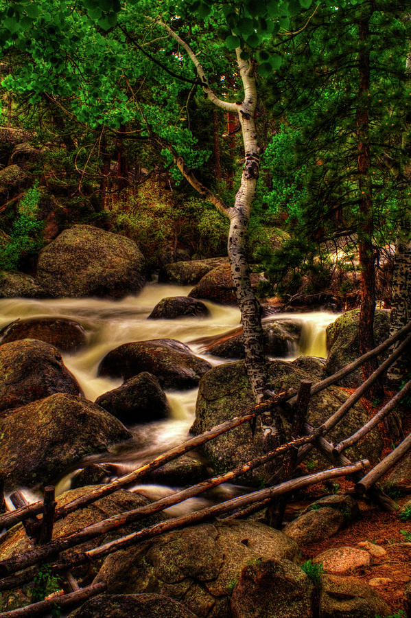 Big Thompson River in Rocky Mountain National Park Photograph by Roger Passman