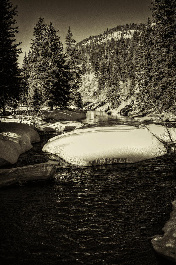 Rocky Mountain National Park Photograph - Big Thompson River Spring by Roger Passman