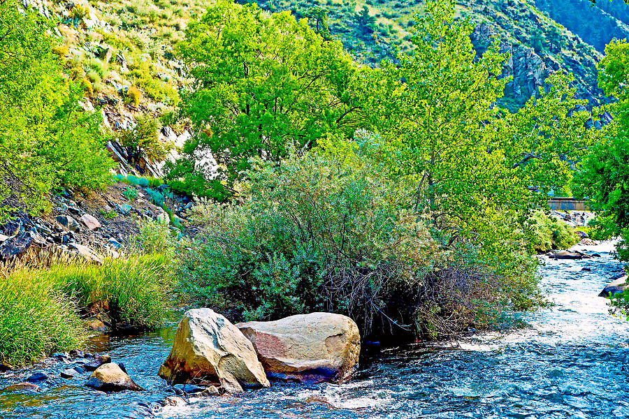 Tree Photograph - Big Thompson River View Downstream by Robert Meyers-Lussier