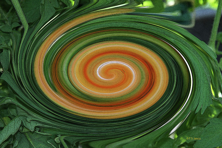 Big Tomato Swirl Digital Art by Tom Janca