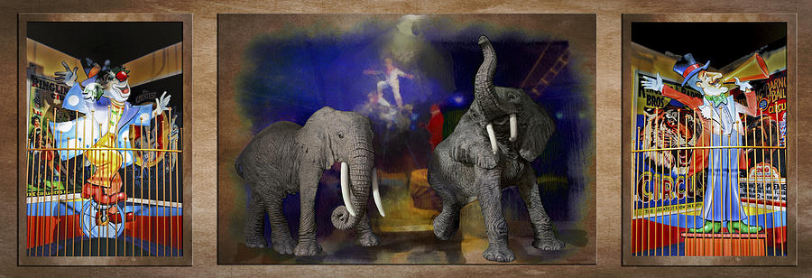 Big Top Elephants Textured Triptych 3 Panel Photograph by Thomas Woolworth