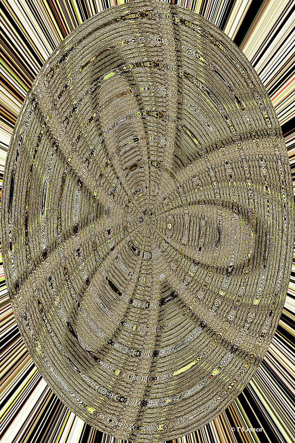 Big Tree Bark Oval Abstract Digital Art by Tom Janca