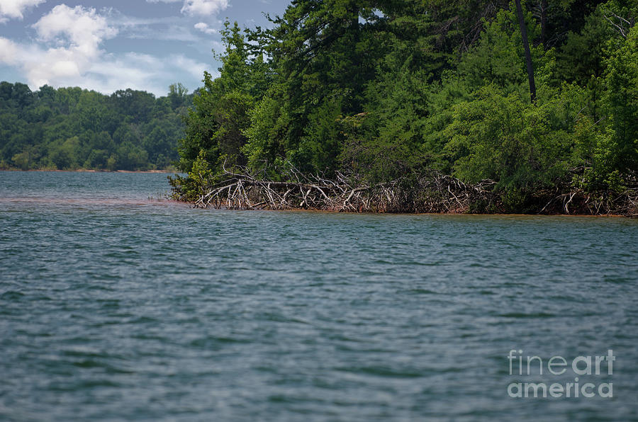 Big Water on Lake Hartwell Photograph by Dale Powell