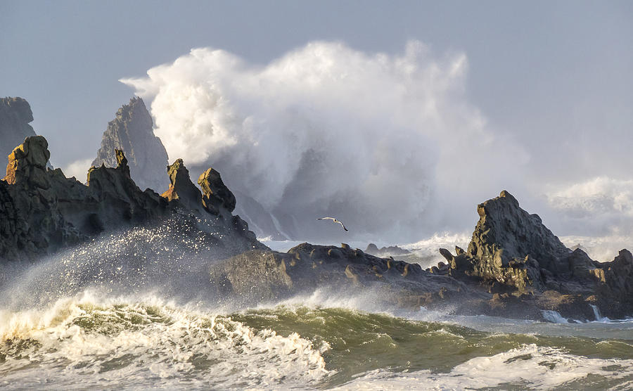 Nature Photograph - Big Waves Breaking off the rocks in front of the Cape Arago Light House by Kristal Talbot
