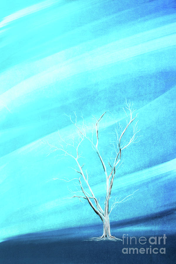 Big white leafless tree blue background by Jan Brons Big white leafless tree blue background by Jan Brons