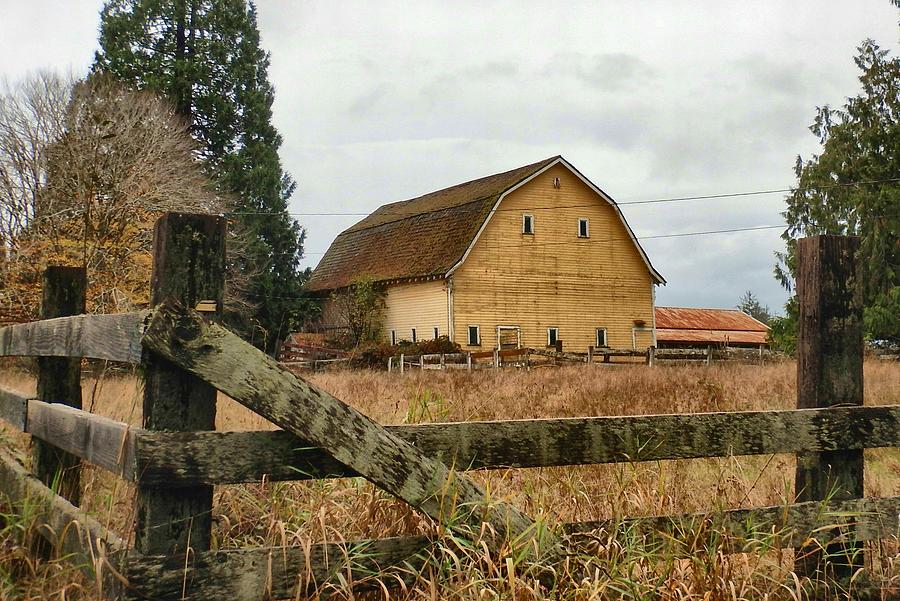Big Yellow Barn Photograph By Jim Romo