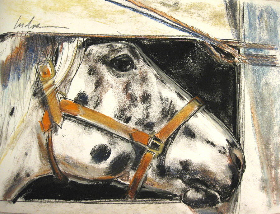 Horse Drawing - Bigger spaces by Indra Singh