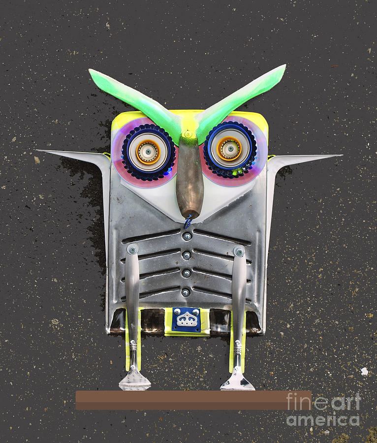 Owl Photograph - Big Eyebrow Owl by Bill Thomson