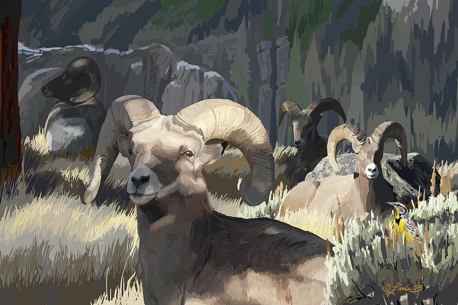 Animal Digital Art - Bighorn Boys by Pam Little