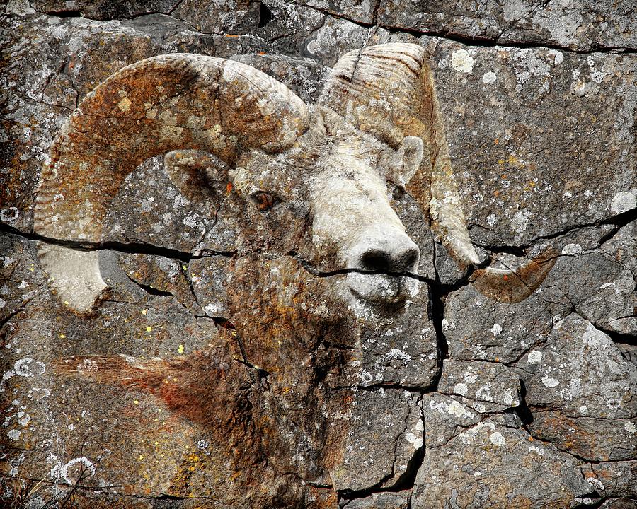 Bighorn Petroglyph Photograph by Steve McKinzie