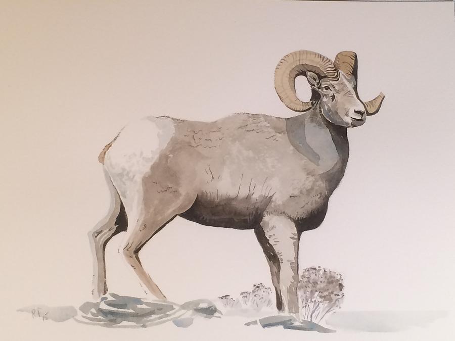 Bighorn Ram Painting by Robert Fugate