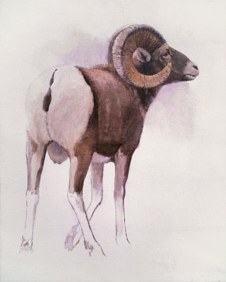 Bighorn Sheep Painting by Attila Meszlenyi