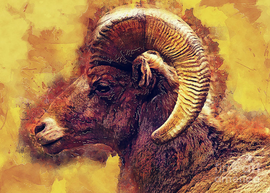 Bighorn sheep Digital Art by Justyna Jaszke JBJart