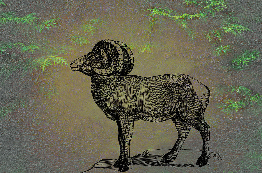 Bighorn Sheep  Mixed Media by Movie Poster Prints
