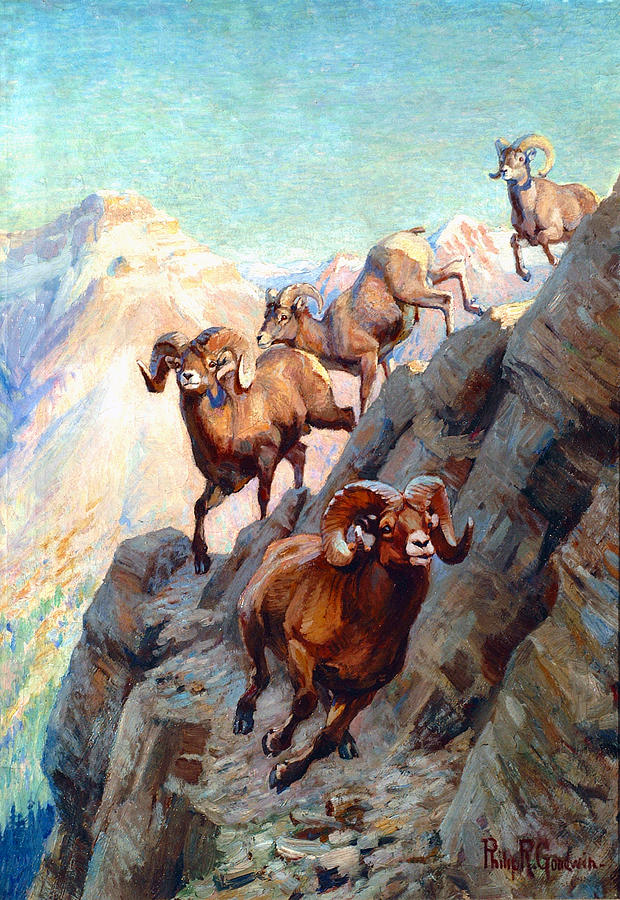 Bighorns Painting by Philip R Goodwin