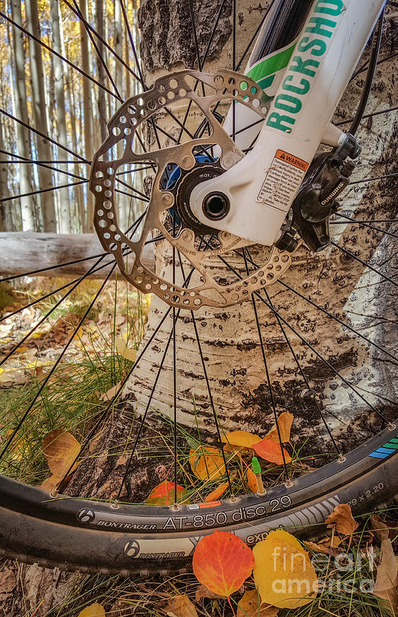 Bike and Aspen Leaves Photograph by Marianne Jensen